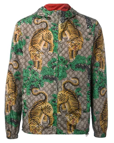 bengal tiger gucci